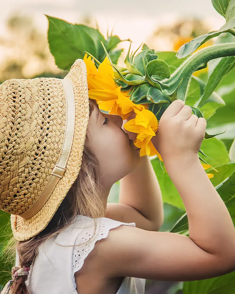 Young girl smelling sunflowers.