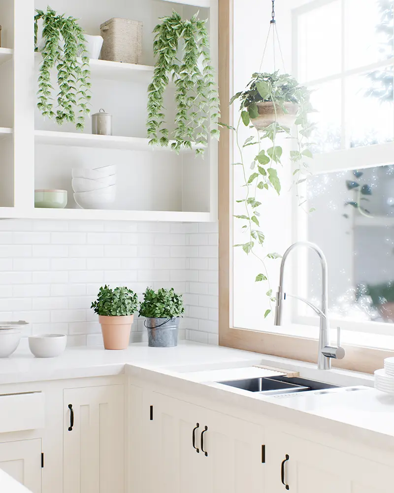 White kitchen with greenery.