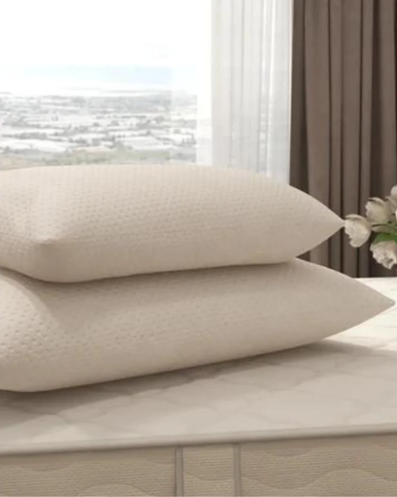 Best non toxic Pillows