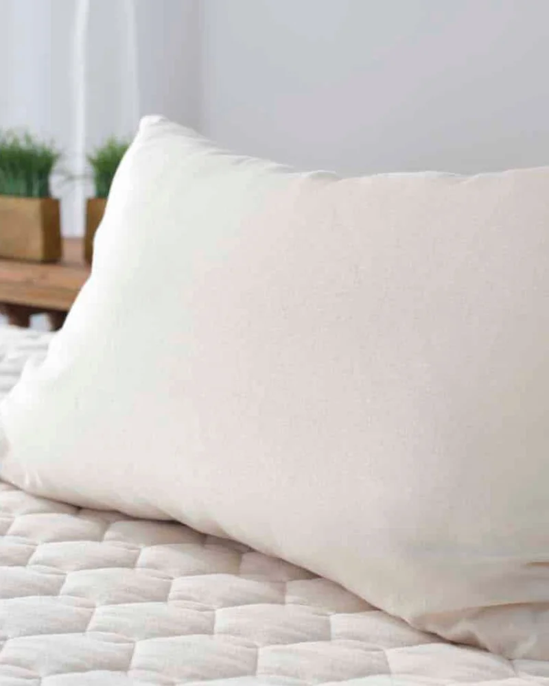 best non-toxic Pillows