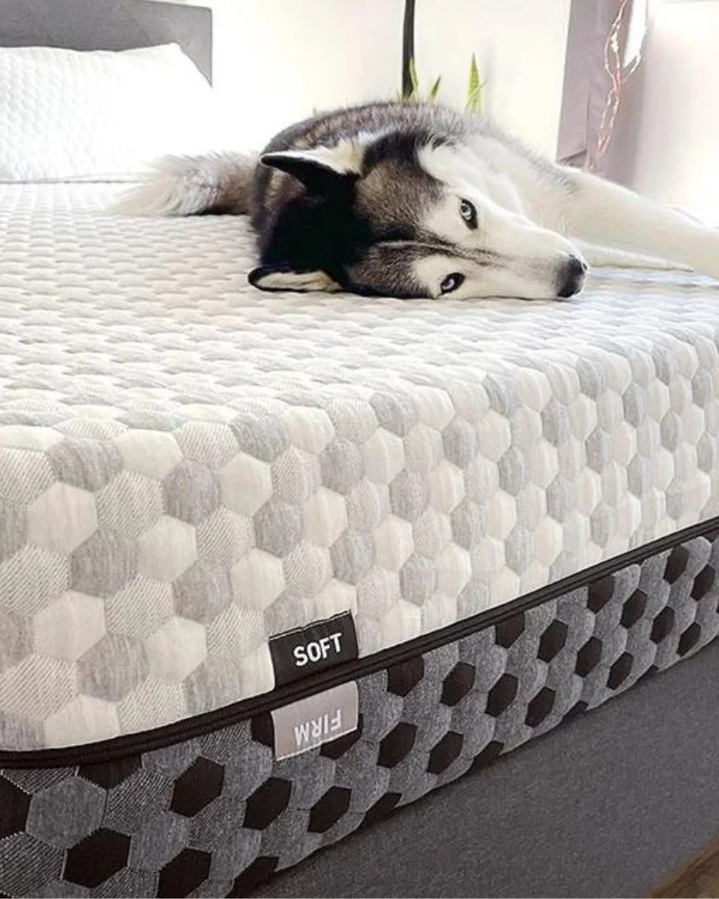 affordable non-toxic mattresses