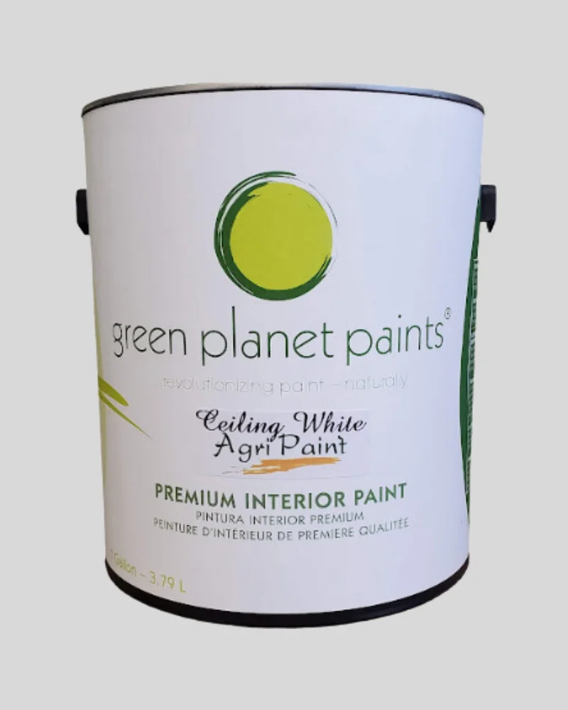 non-toxic zero voc paints