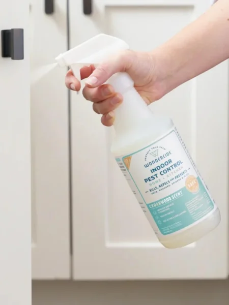 non toxic pest control methods