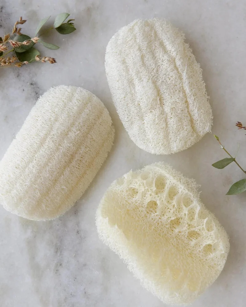 best non toxic dish sponges 