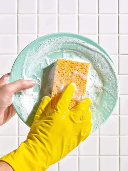 best non toxic dish sponges