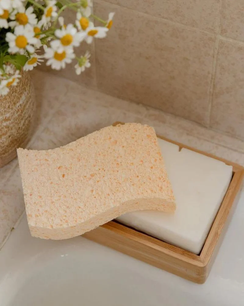 best non toxic dish sponges 