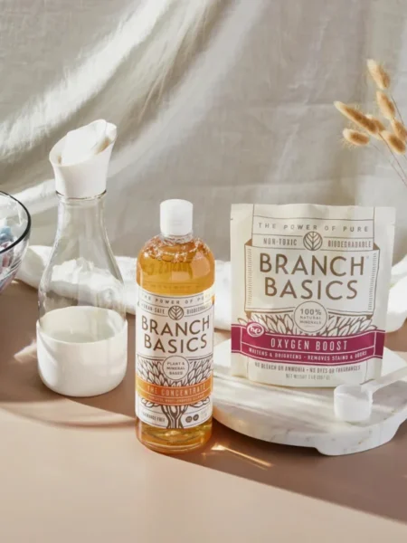 Non-Toxic Cleaning Brands for Homes