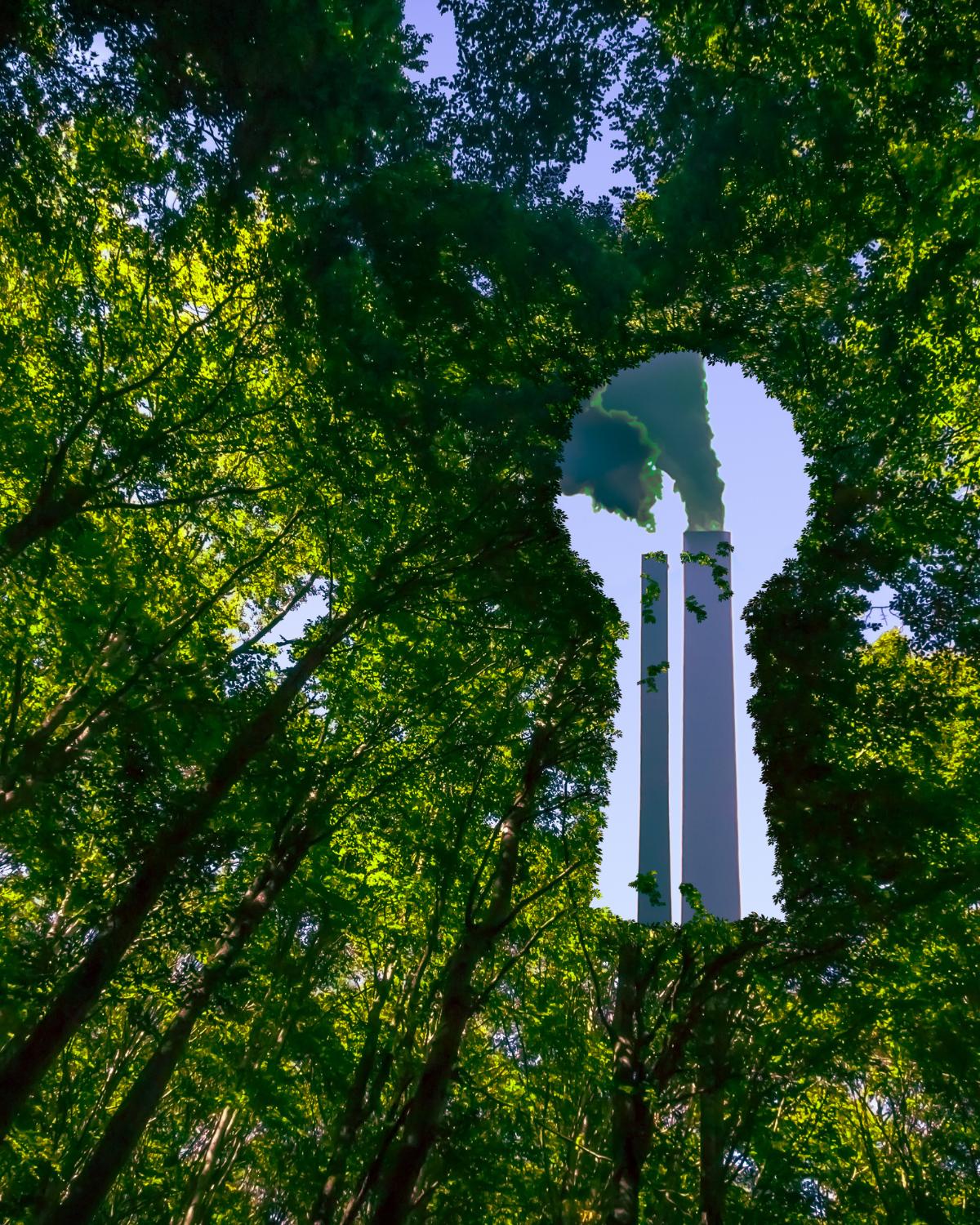 The Truth About BPA BPS BPA Free Plastics: What You re Not Being