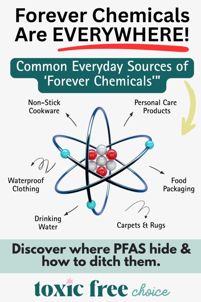 Infographic titled “Forever Chemicals Are Everywhere!” showing common PFAS sources: non-stick cookware, personal care products, food packaging, carpets and rugs, drinking water, and waterproof clothing. Text at the bottom says “Discover where PFAS hide & how to ditch them”.