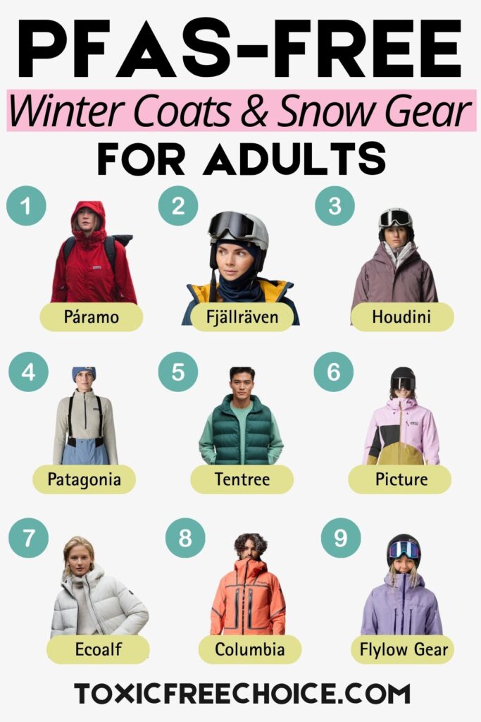 Infographic titled ‘PFAS-Free Winter Coats & Snow Gear for Adults’ featuring nine brands that avoid toxic chemicals: Páramo, Fjällräven, Houdini, Patagonia, Tentree, Picture, Ecoalf, Columbia, and Flylow Gear.