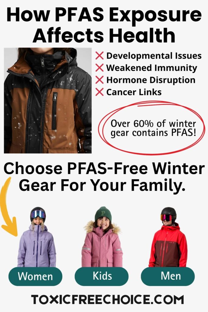 Infographic titled ‘How PFAS Exposure Affects Health’ showing a person in a winter jacket and listing risks such as developmental issues, weakened immunity, hormone disruption, and cancer links. Text highlights that over 60% of winter gear contains PFAS. The bottom section encourages choosing PFAS-free winter gear for women, kids, and men.